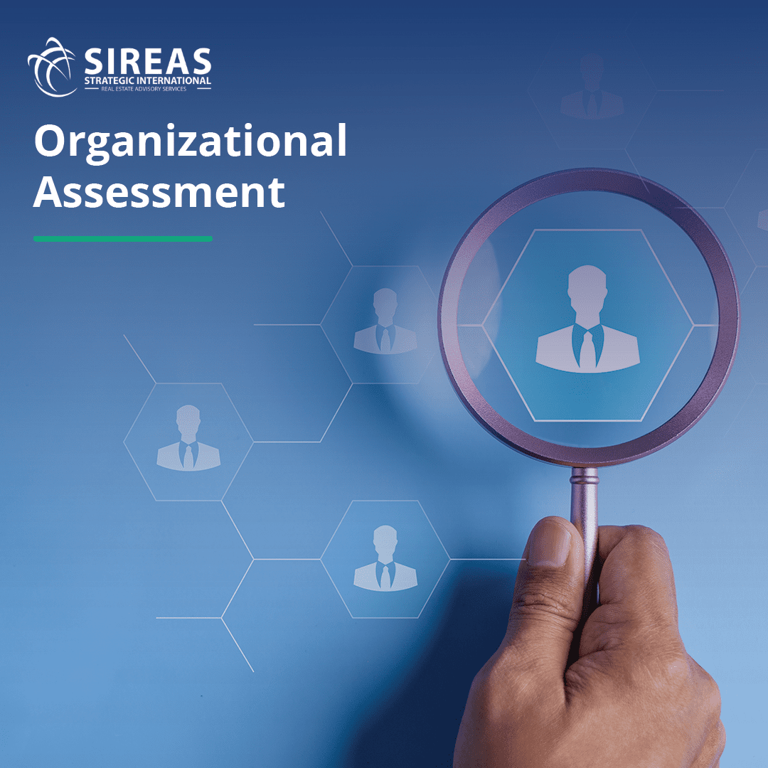 Organizational Assessment